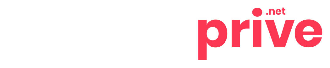 Logo du site Serveur-Privé.net